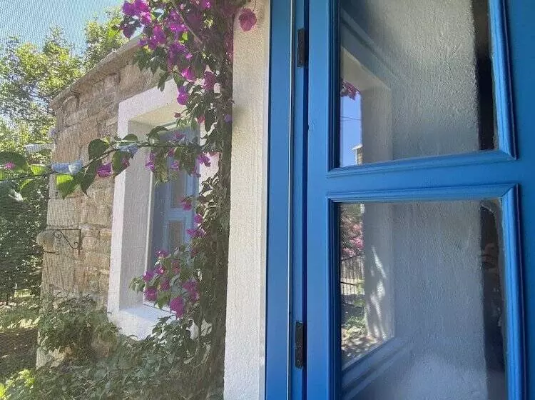 ペンション Mustafa'nin Fidan'i