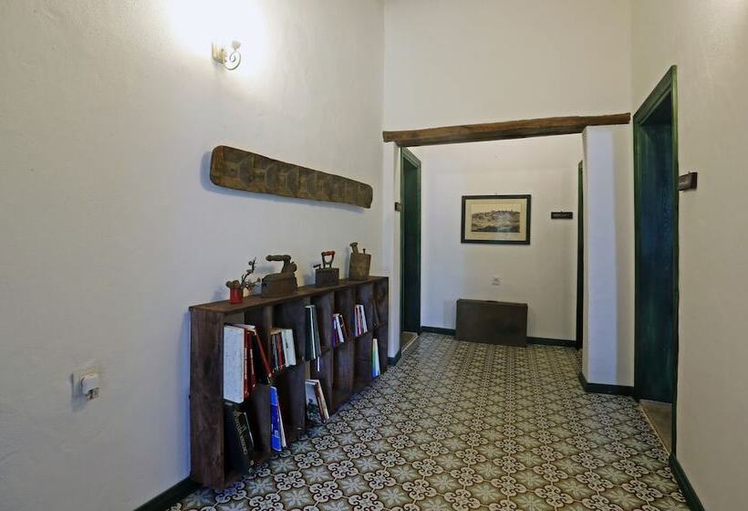 بنسيون Mustafa'nin Fidan'i