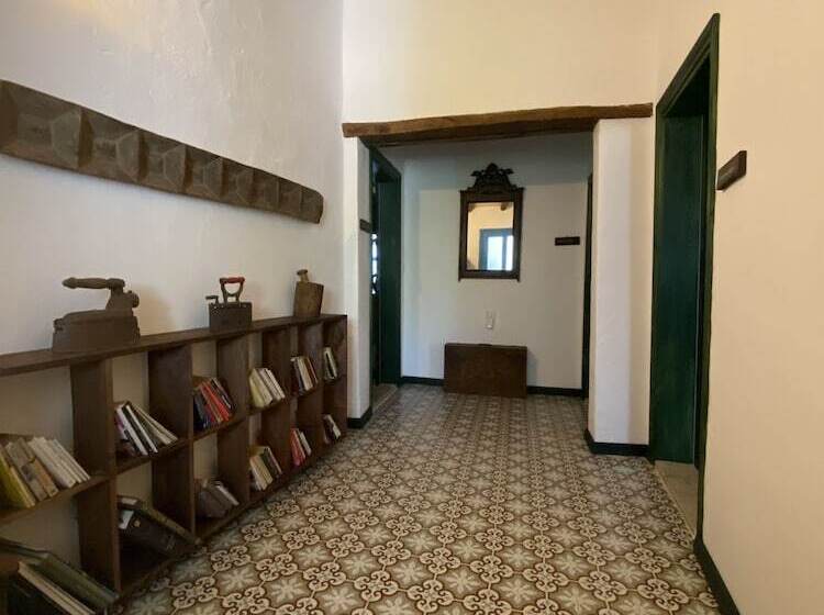 بنسيون Mustafa'nin Fidan'i