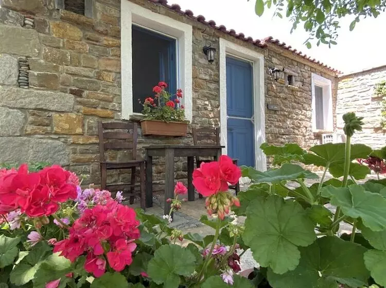 ペンション Mustafa'nin Fidan'i