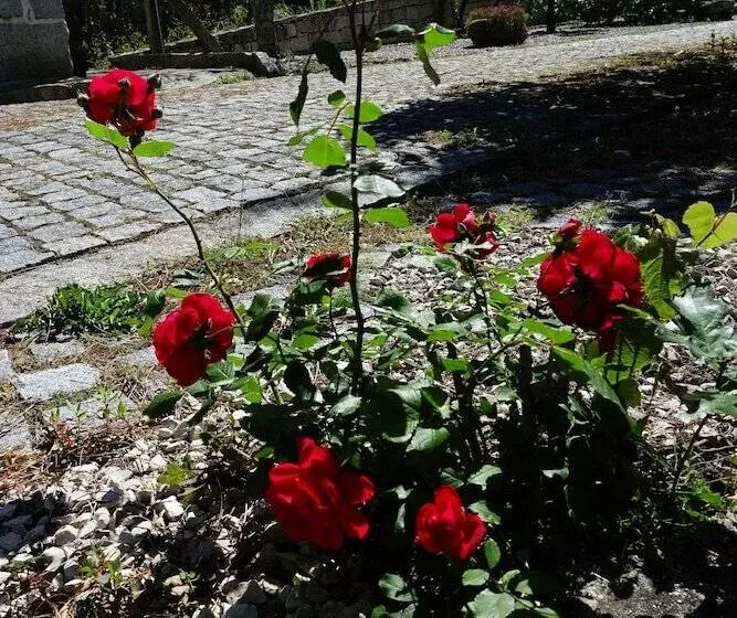 ペンション Zen Vouga   Quinta Do Fundo De Vila