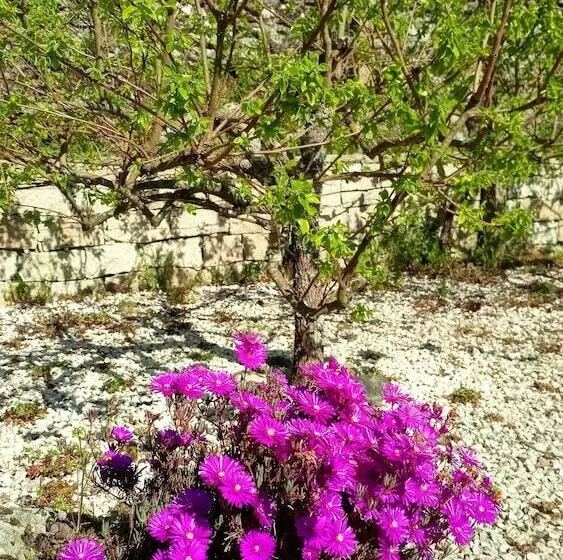 ペンション Zen Vouga   Quinta Do Fundo De Vila