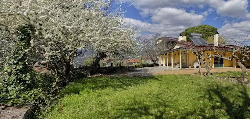 ペンション Zen Vouga   Quinta Do Fundo De Vila