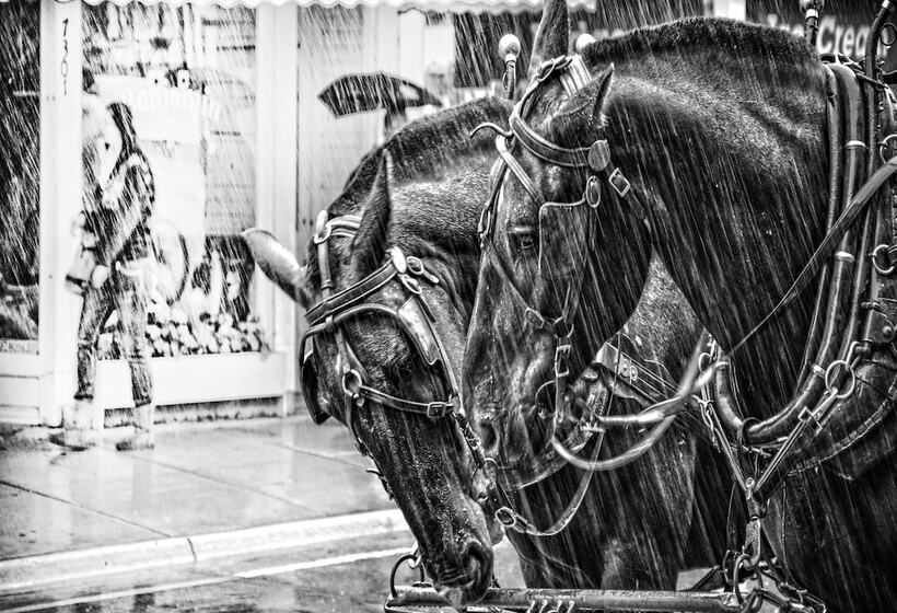 Secrets On Main Bed & Breakfast