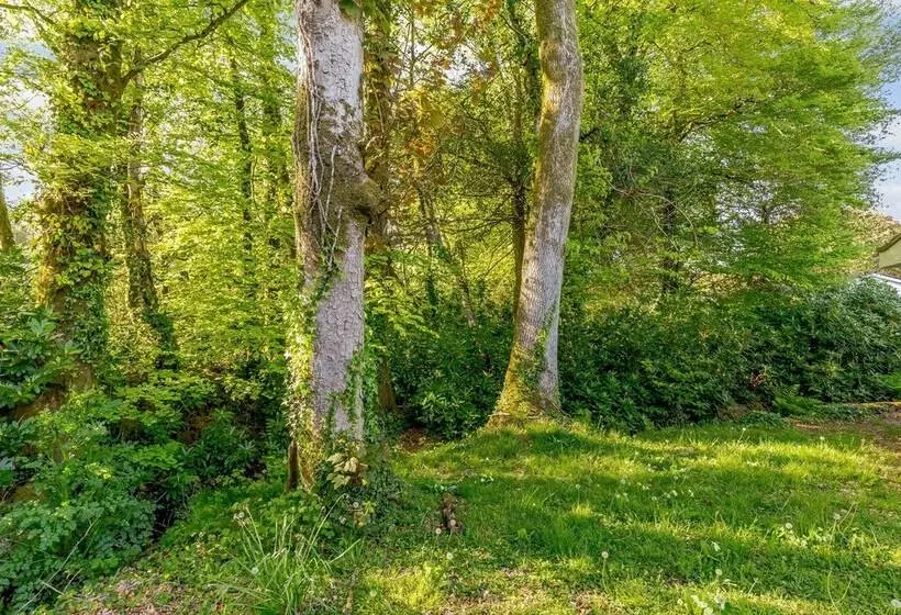 Brook Cottage
