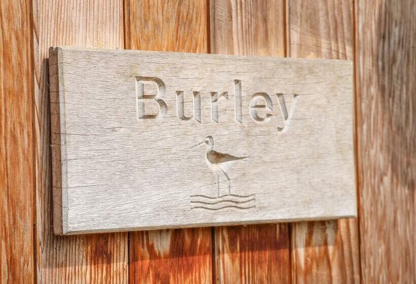 Burley