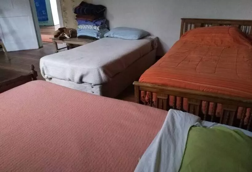 Espacio 420 Hostel