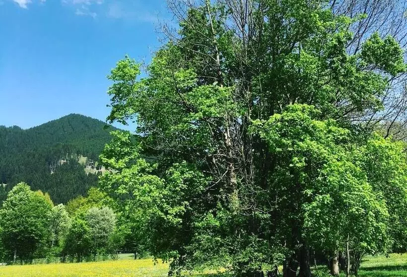 Hotelli Alte Postvilla