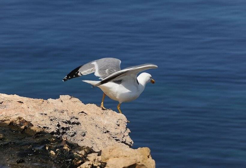 בית מלון כפרי Boheme Bleue