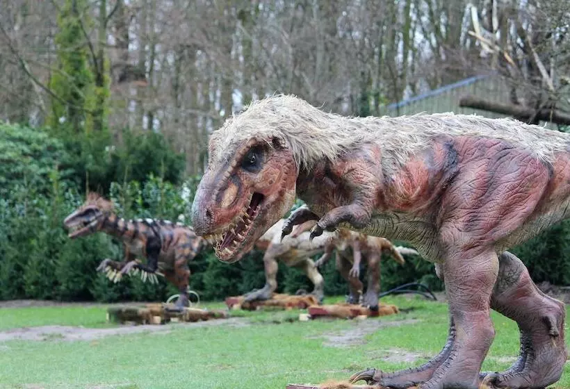 Hotelli City Camping Hjørring