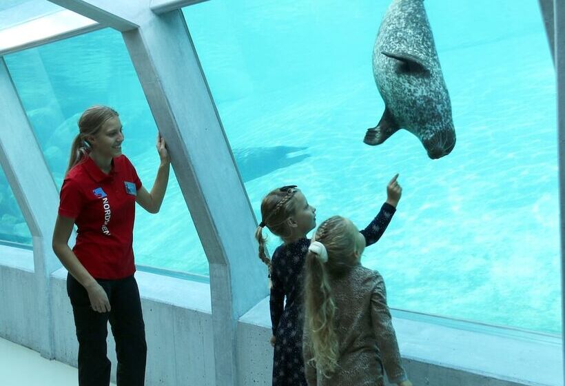 בית מלון כפרי City Camping Hjørring