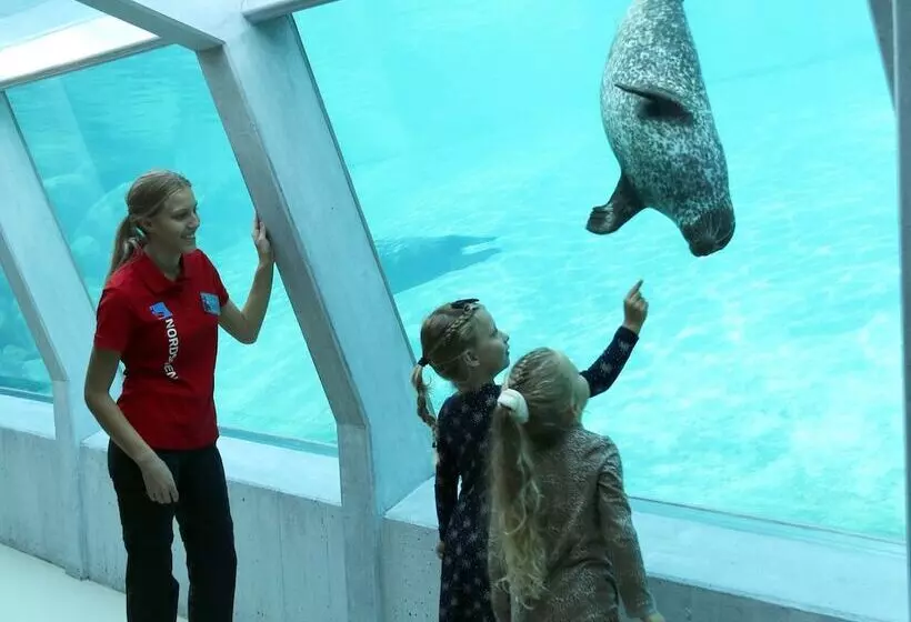 Hotelli City Camping Hjørring