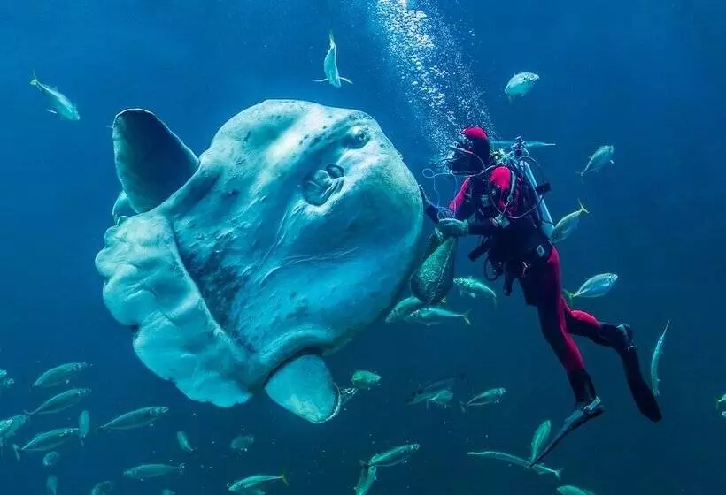 Hotelli City Camping Hjørring