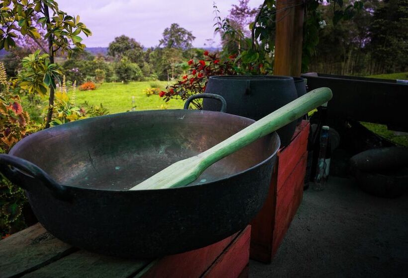 Отель La Estancia De Lilo