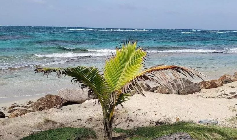 Hotelli Paraiso Beach