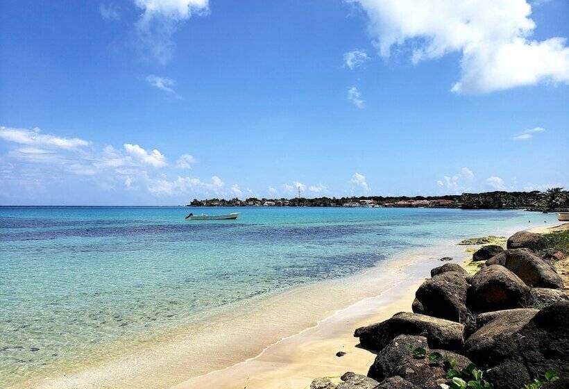 هتل Paraiso Beach