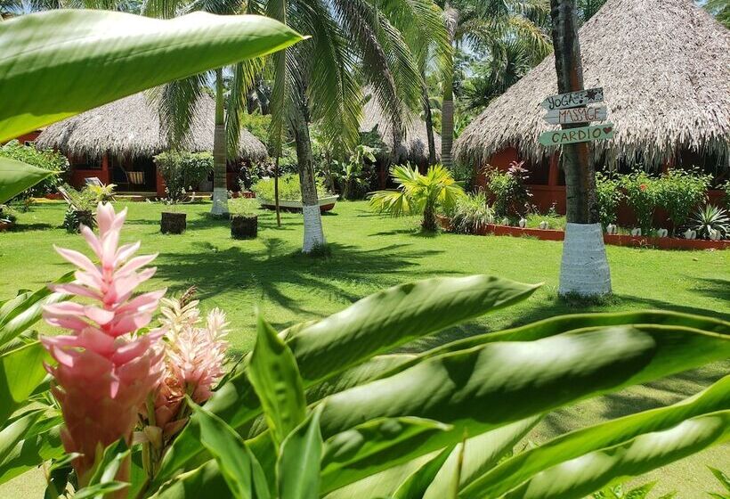 هتل Paraiso Beach