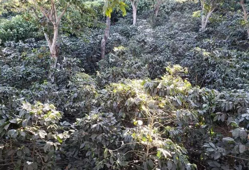 Hotelli Villa Castillo De Ensueño