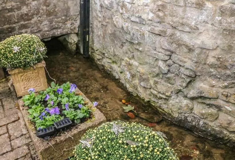 Mill Leat