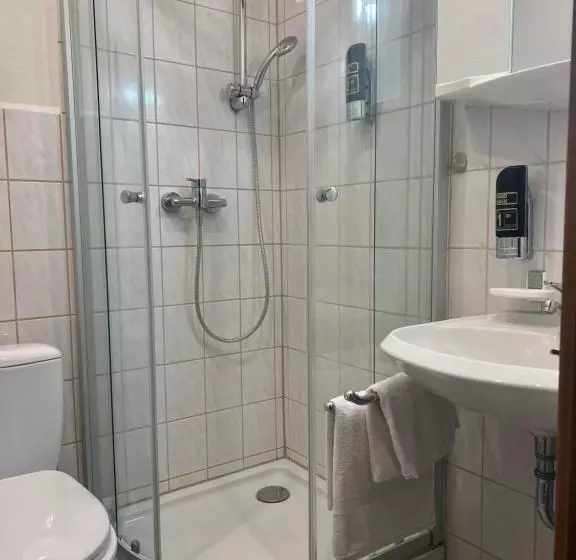 צימר Pension Wiesenau