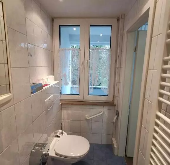 צימר Pension Wiesenau