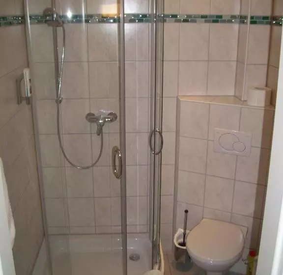 צימר Pension Wiesenau