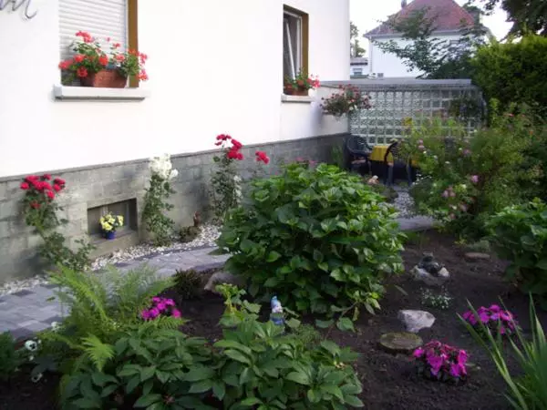 צימר Pension Wiesenau