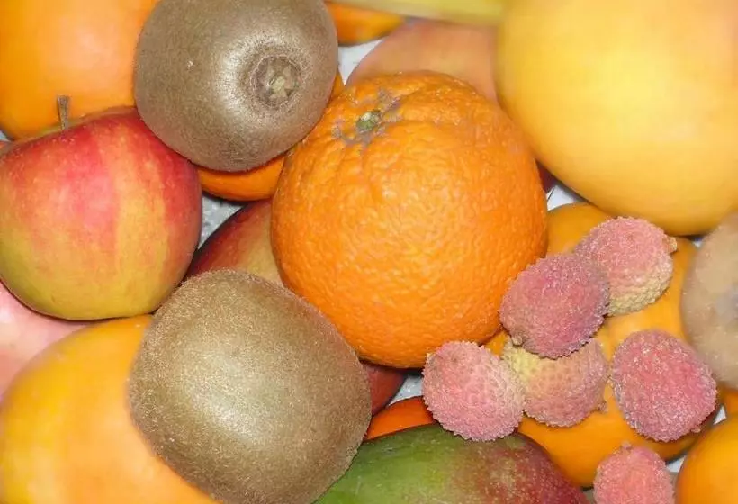 فندق City Karlsruhe