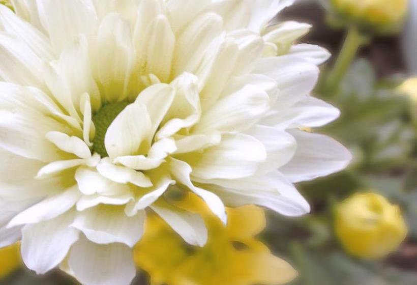 בית מלון כפרי City Karlsruhe