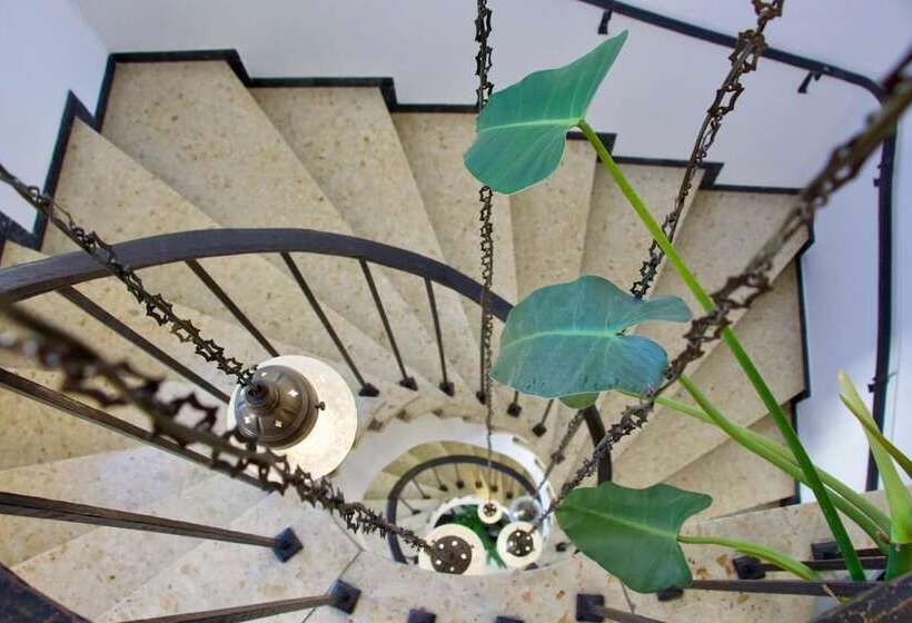 호텔 Goldene Traube