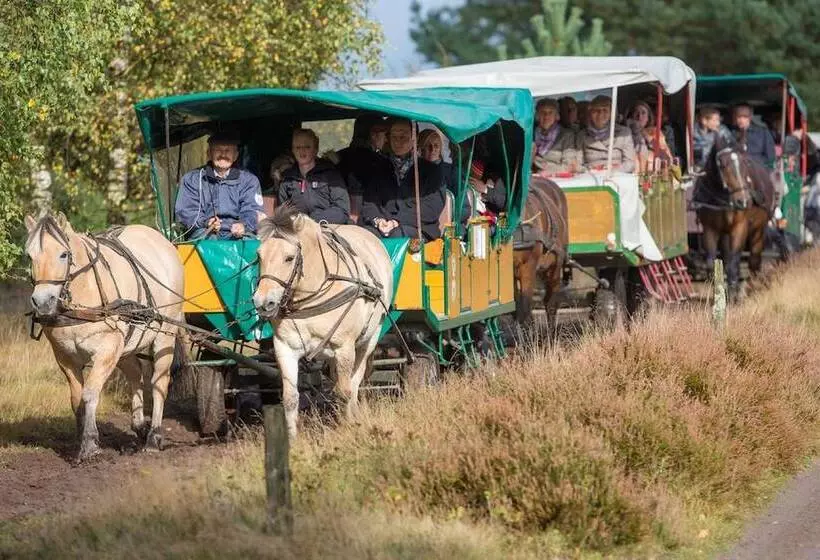 فندق Hof Sudermuhlen