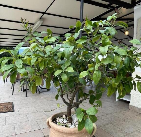 فندق Locanda Moscal