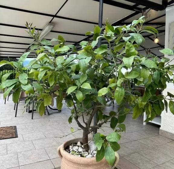 Отель Locanda Moscal