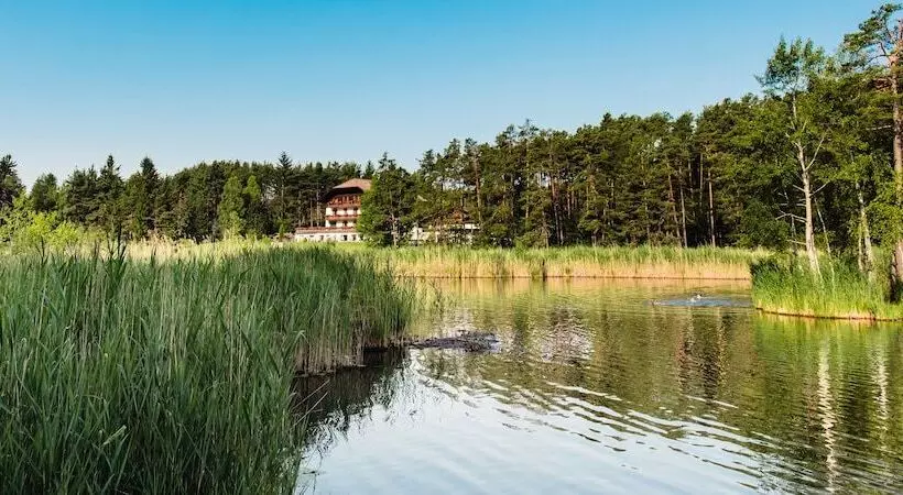 Отель Waldsee