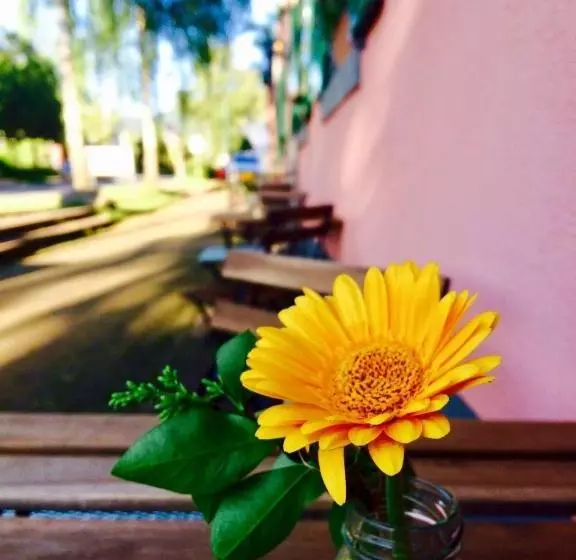 펜션 Gasthaus Birke