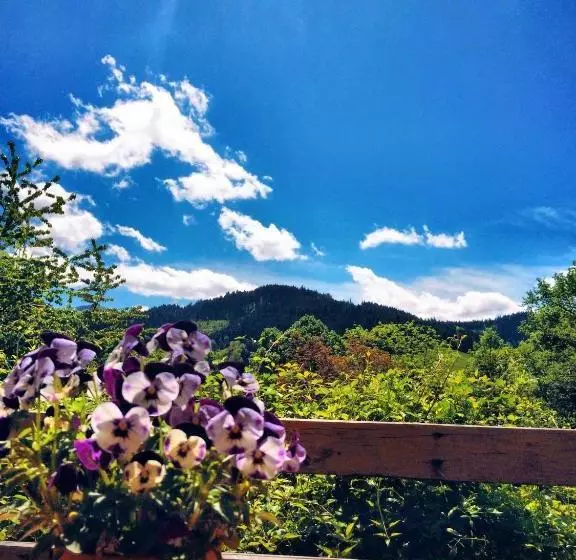 펜션 Gasthaus Birke