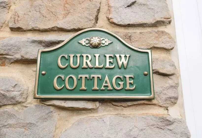 Curlew