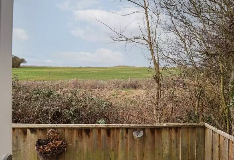 Field View