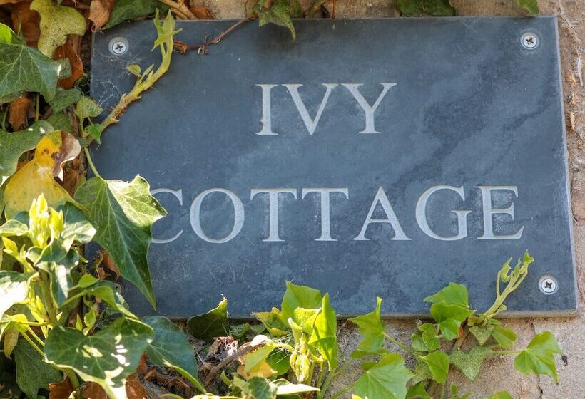 Ivy Cottage