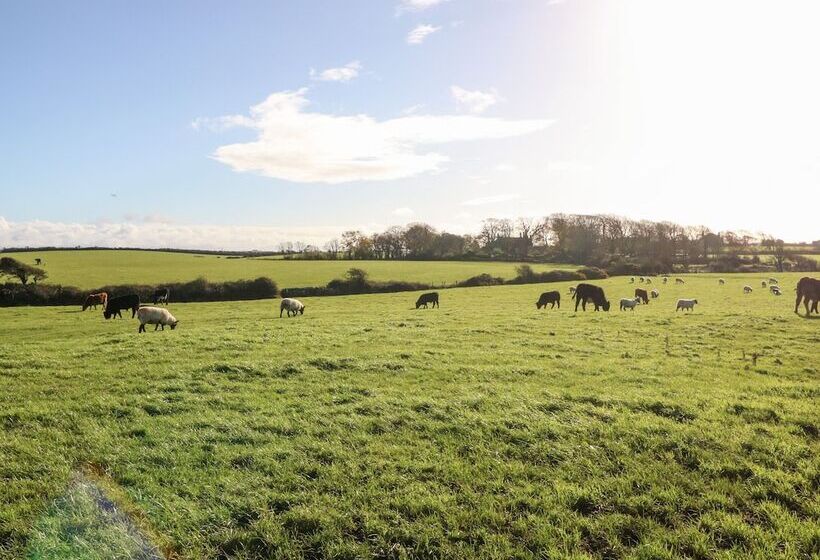 Pen Yr Orsedd Cottage