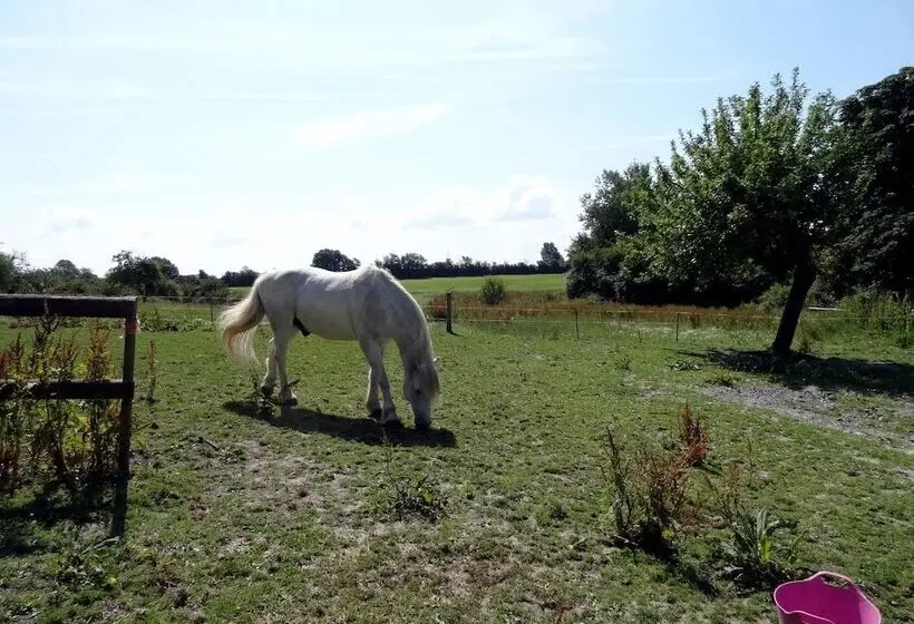 Pittards Farm Cottage