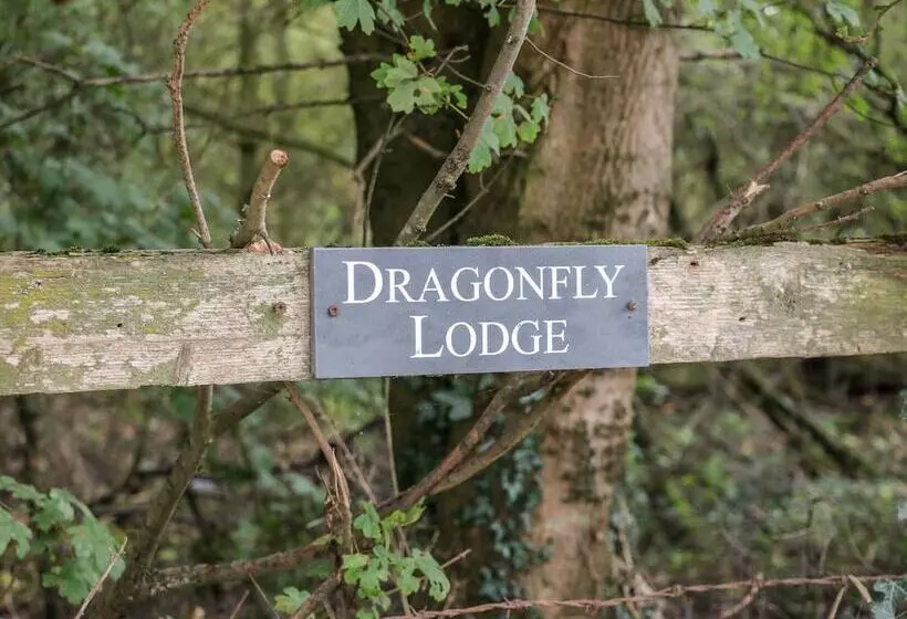 Dragonfly Lodge