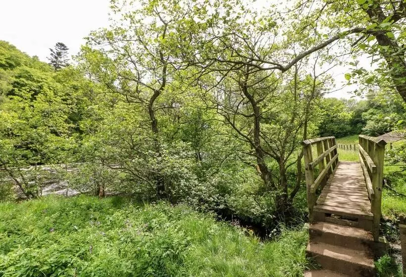 Meadows Edge