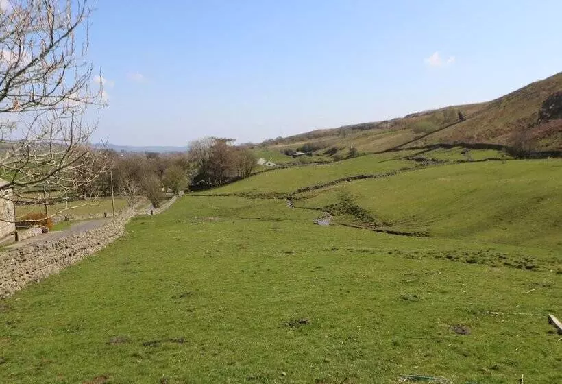 Meadows Edge