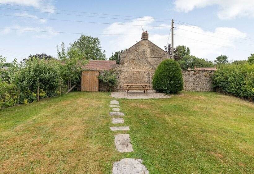 The Old Watchmaker S Shop