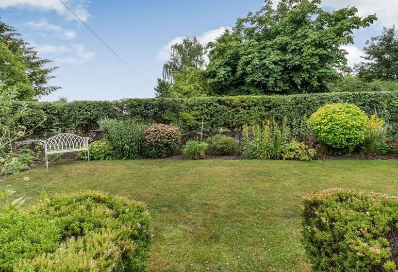 The Old Watchmaker S Shop