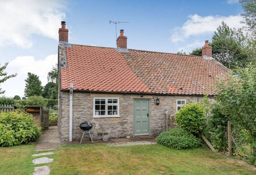 The Old Watchmaker S Shop