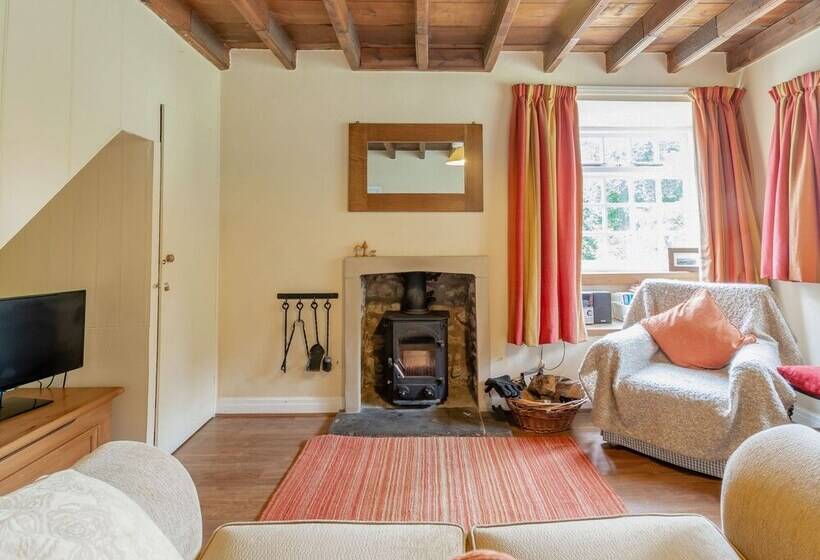 The Old Watchmaker S Shop