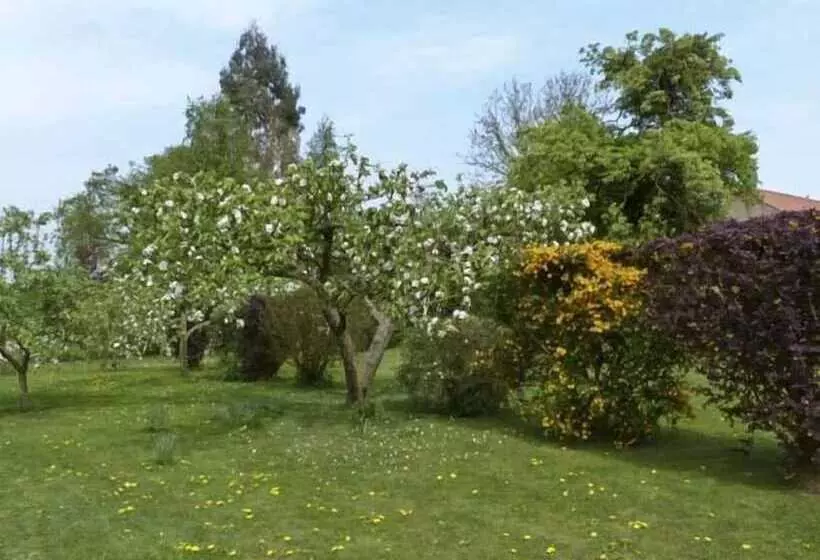 The Sun House