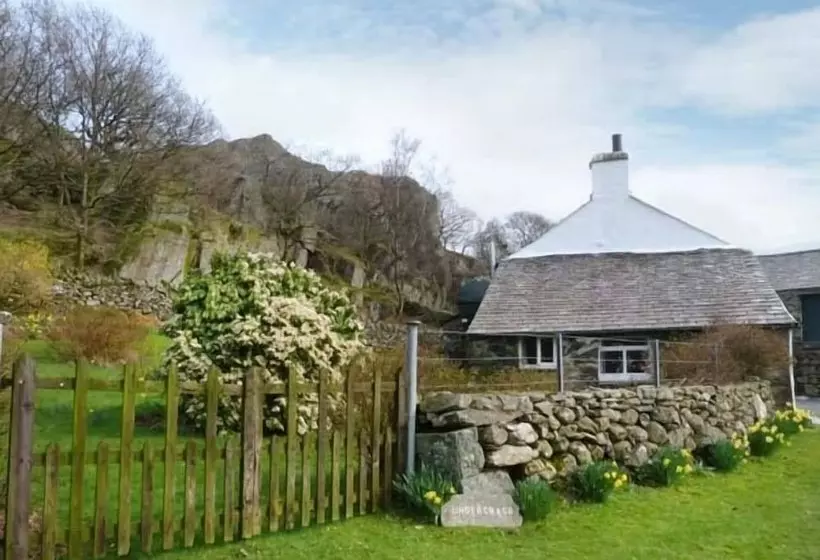 Undercragg